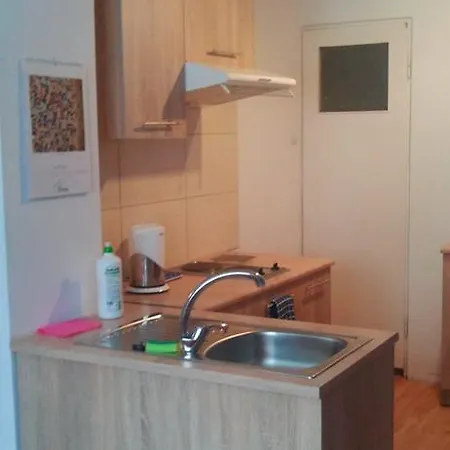 U Jadwigi Studio Apartament Daire